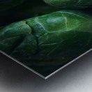 Brussels sprouts close up Metal print