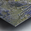 Mount Metal print
