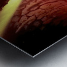 Core Metal print