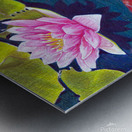 Carpe Koi Metal print