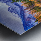 Larch Valley Metal print