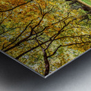 What are You Staring At Metal print