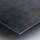 Flying Off Metal print