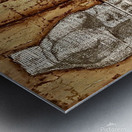 perfect couple Metal print