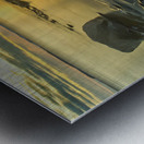 Golden Light Metal print