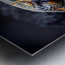 Called in Slick Metal print