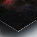 Seagull Nebula  Metal print