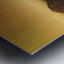 Smoky Mountains Forest Overlook Metal print