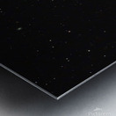 Owl  & Surfboard Metal print