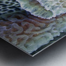 Filter Metal print