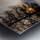 Foggy Morning Lake Shoreline Metal print