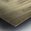 Artistic Colorado Aspens in Sepia Monotone Metal print