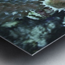 Protrudes Metal print