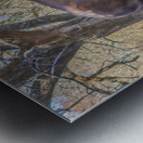 Under The Old Elm Tree Metal print