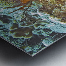 Plates Metal print