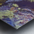 Expansive Metal print