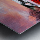 Pontiac Trans Am Rear Lights Metal print