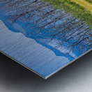 Waterton Lakes Trees Metal print
