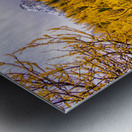 Larch Valley Gold Metal print