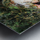 MOUNTAIN STREAM P Metal print