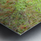 Why did the bear cross the road  Metal print