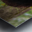 Look into my eyes Metal print
