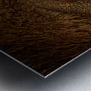 Eye of the Storm Metal print