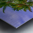 From the Ashes Metal print