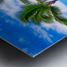 HualaLiars Metal print