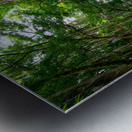 Now You Are Like Me Metal print