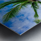 Palm Reader Metal print