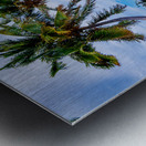 Krenny Lavitz Metal print