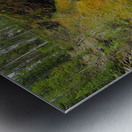 Yellowstone Moose Falls Metal print