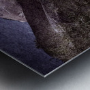 Eastern Sierra Ranch Gate Metal print