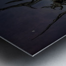 Inyo National Forest Tree Metal print