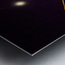 Old Sierra Malthusia Tree Metal print