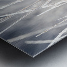 Frost-Kissed Beauty Metal print