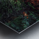AUTUMN BROOK P Metal print