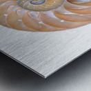 Natural Nautilus Seashell On White Metal print