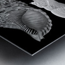 Treasures of the Deep in Black and White Metal print