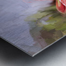Sweet Lillian Amaryllis X1 1 Metal print