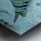 Upward Metal print
