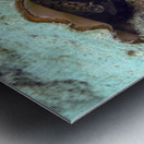 Conch Metal print