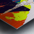 N A P O L E O N Metal print