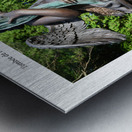 JE T OFFRE UNE PLUME Metal print