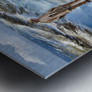 Seagulls and a Man Metal print