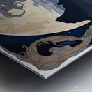 Elegant Outing Metal print