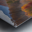 Blue Ridge Bison Creek Heaven Metal print