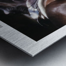 I OFFER YOU A HORSE Metal print