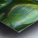 My green life Metal print
